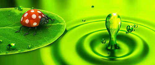 Leuchtmittel im Einklang mit der Natur